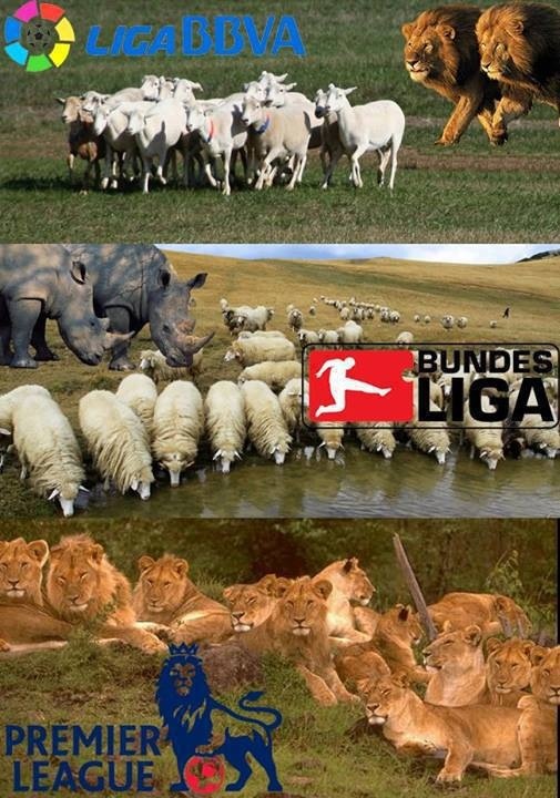 تقاوت سطح لیگ ها