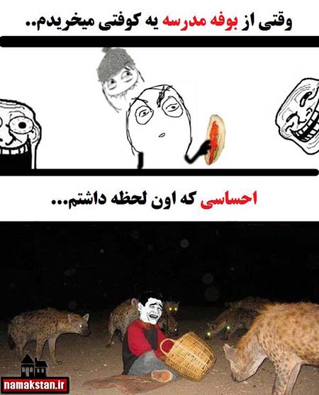 ترول 