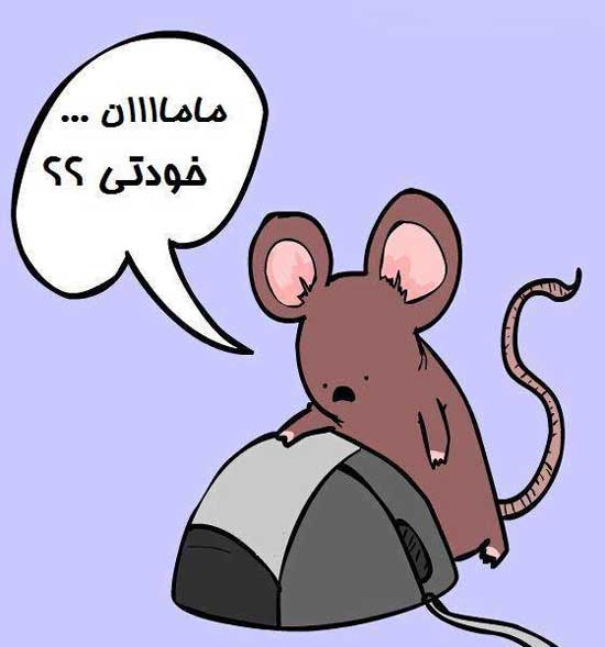 ترولللللللللللل .خخخخخخخخخ بیا تو بخند