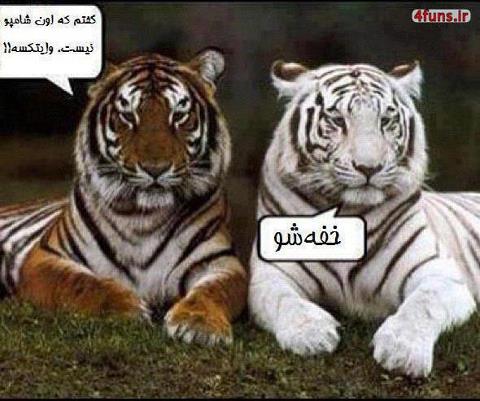 آخر شــــــبی !!!!!!!!!!!!!!!!!!!!!!!!!!!!!!!!!!!!!!!!!!!!!   (4)
