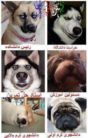 آخر شــــــبی !!!!!!!!!!!!!!!!!!!!!!!!!!!!!!!!!!!!!!!!!!!!!   (13)