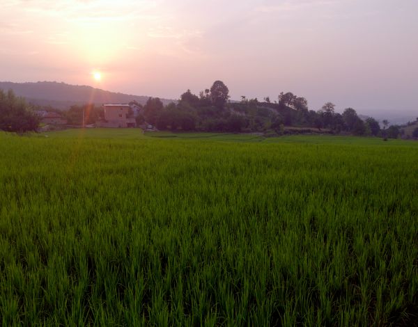 MY VILLAGE!!!!!!!!!