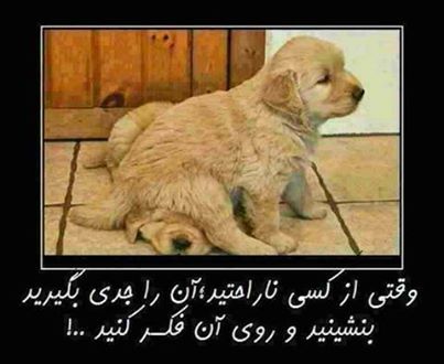 وقتی ...
