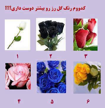 همه بگن فقط یکی ,کدومشون رو انتخاب میکنی؟ ۵۴
