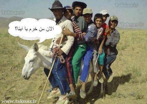 الان من خرم یا اینا؟