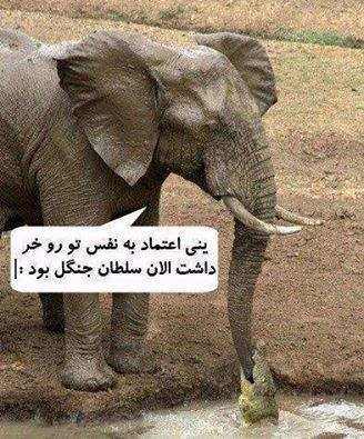 اعتماد به سقف :))