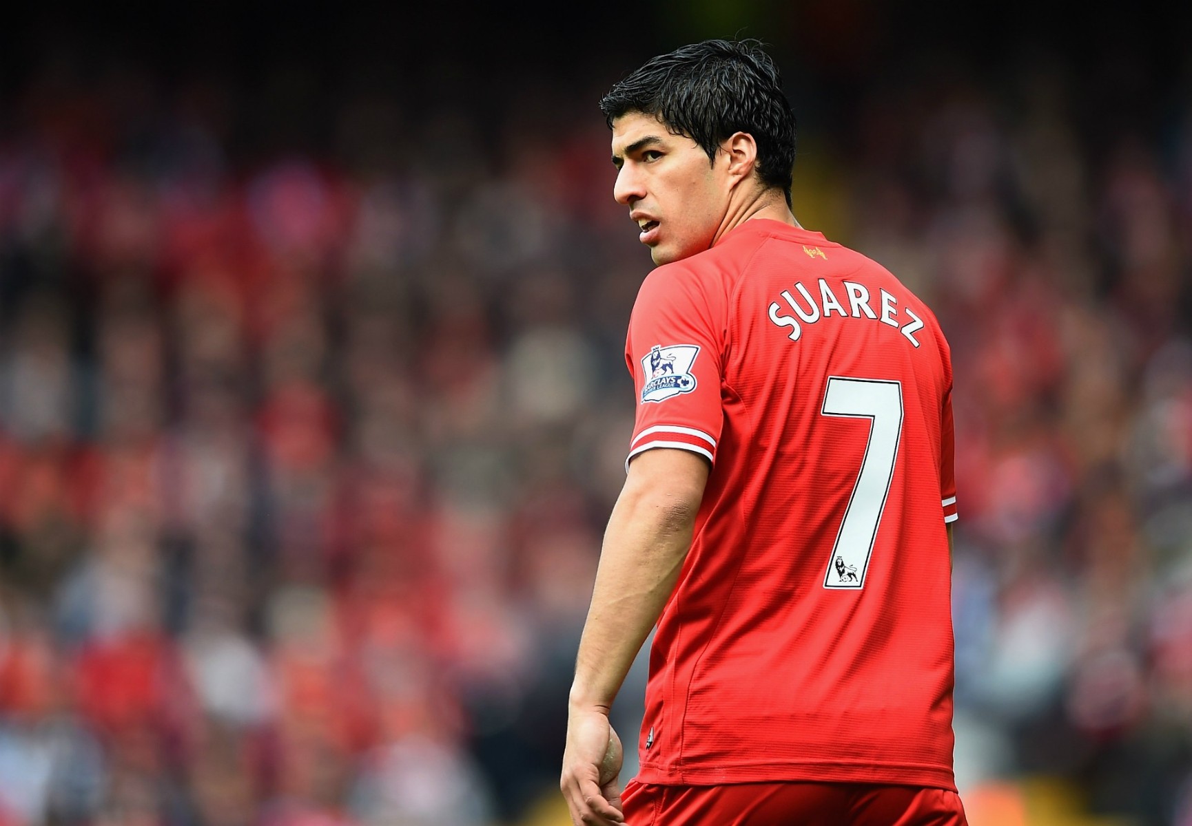 suarez