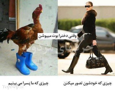 پسرونه