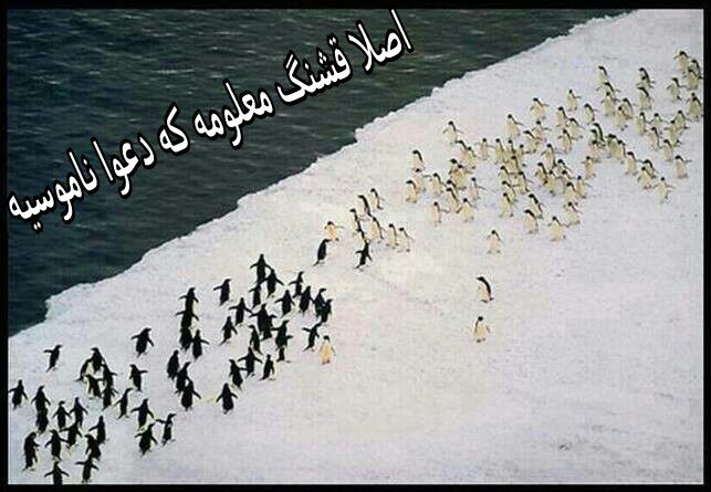 خخخخخخخخخخخخخخخخخخ