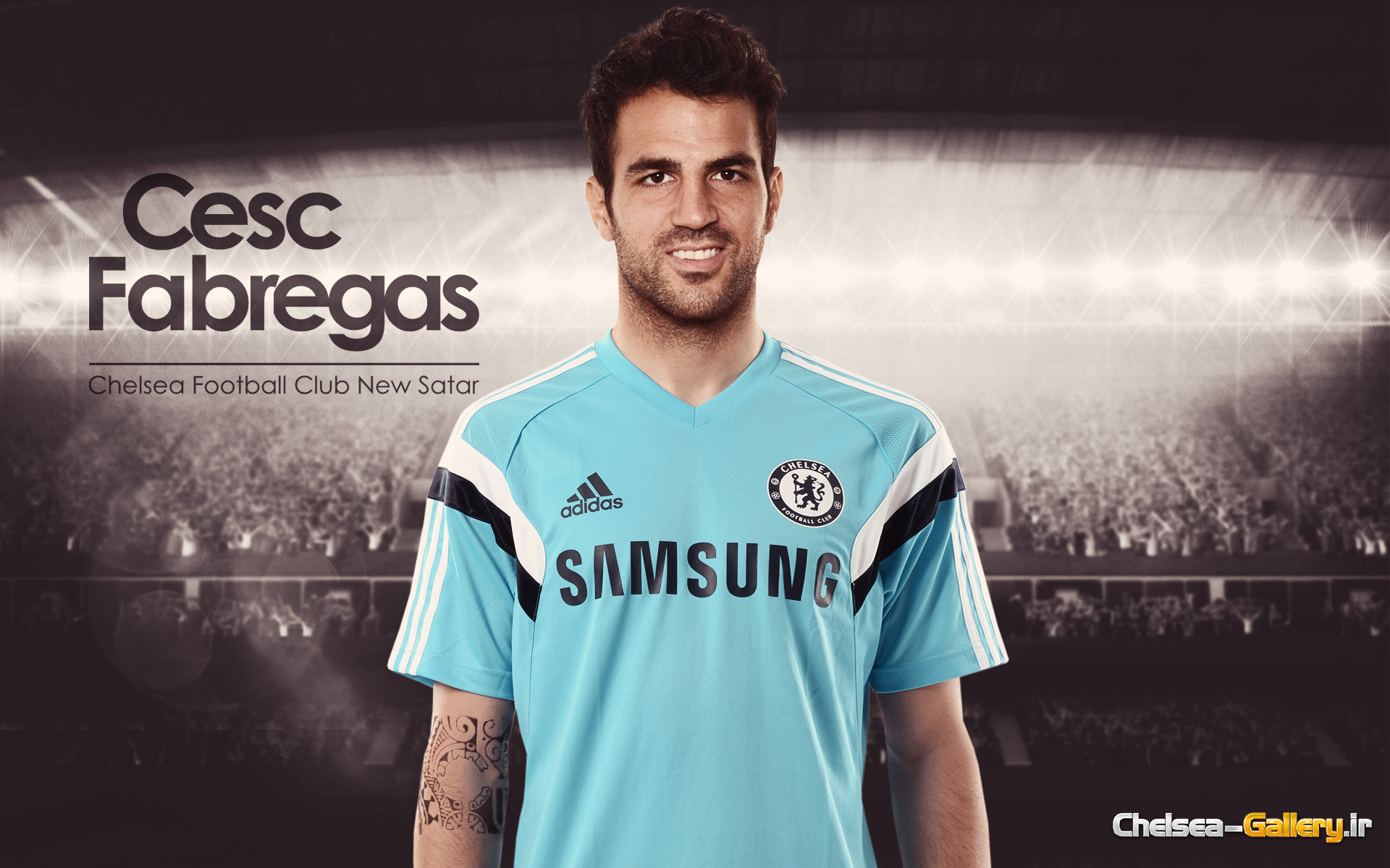 Cesc Fabregas 4
