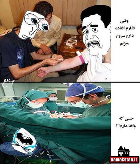 خخخخخ (amo troll)