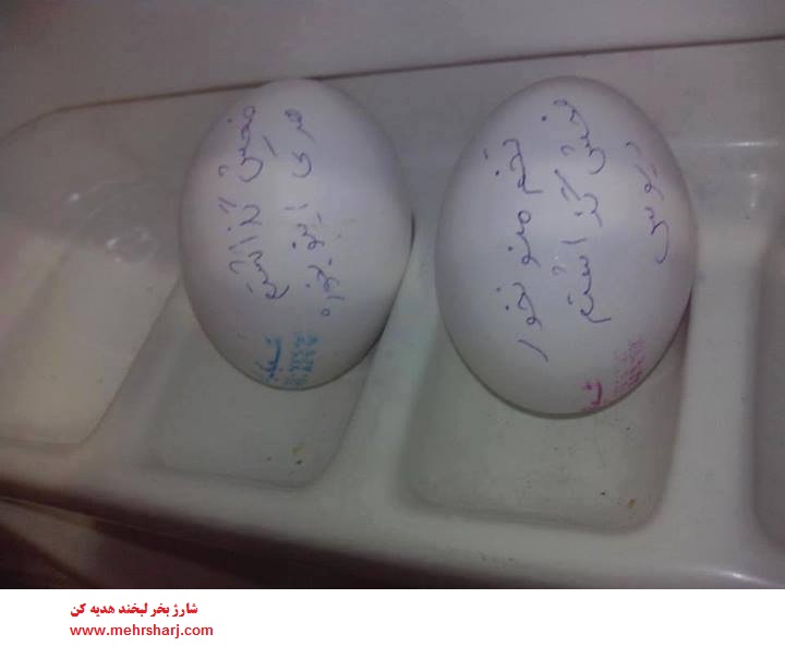 این دیگه نوبرشه!!!:))
