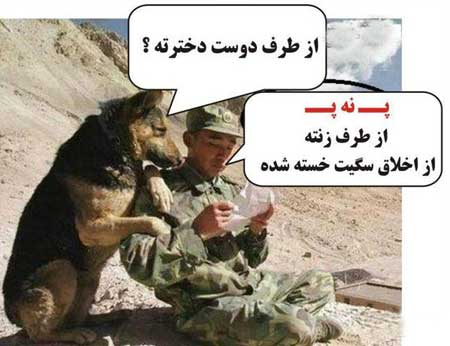 پ ن پ خیلی باحال