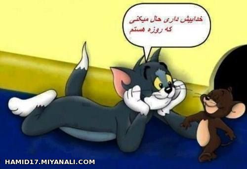 ترول 6 خخخخخخخخخخخخخخخخخخخخخخ