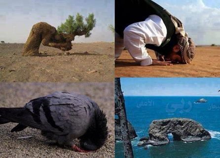 سجده فقط برای پروردگار جهان هست و بس 
