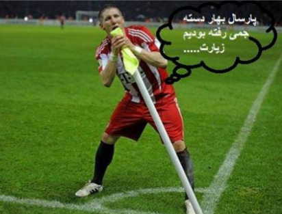 شوانیD: