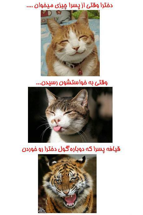 حقیقت تلخ!!