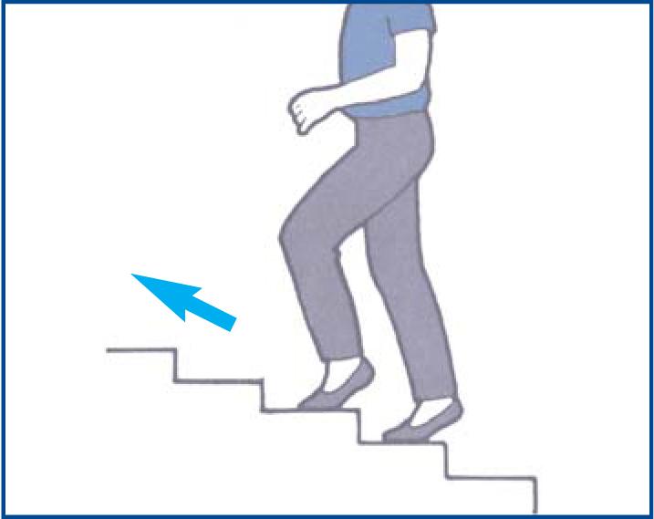 بالارفتن از پله 50 درصد سخت تر و برای بدن مفیدتر از وزنه زدن و پیاده روی  است