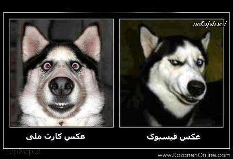 تفاوت عکس کارت ملی با فیسبوک