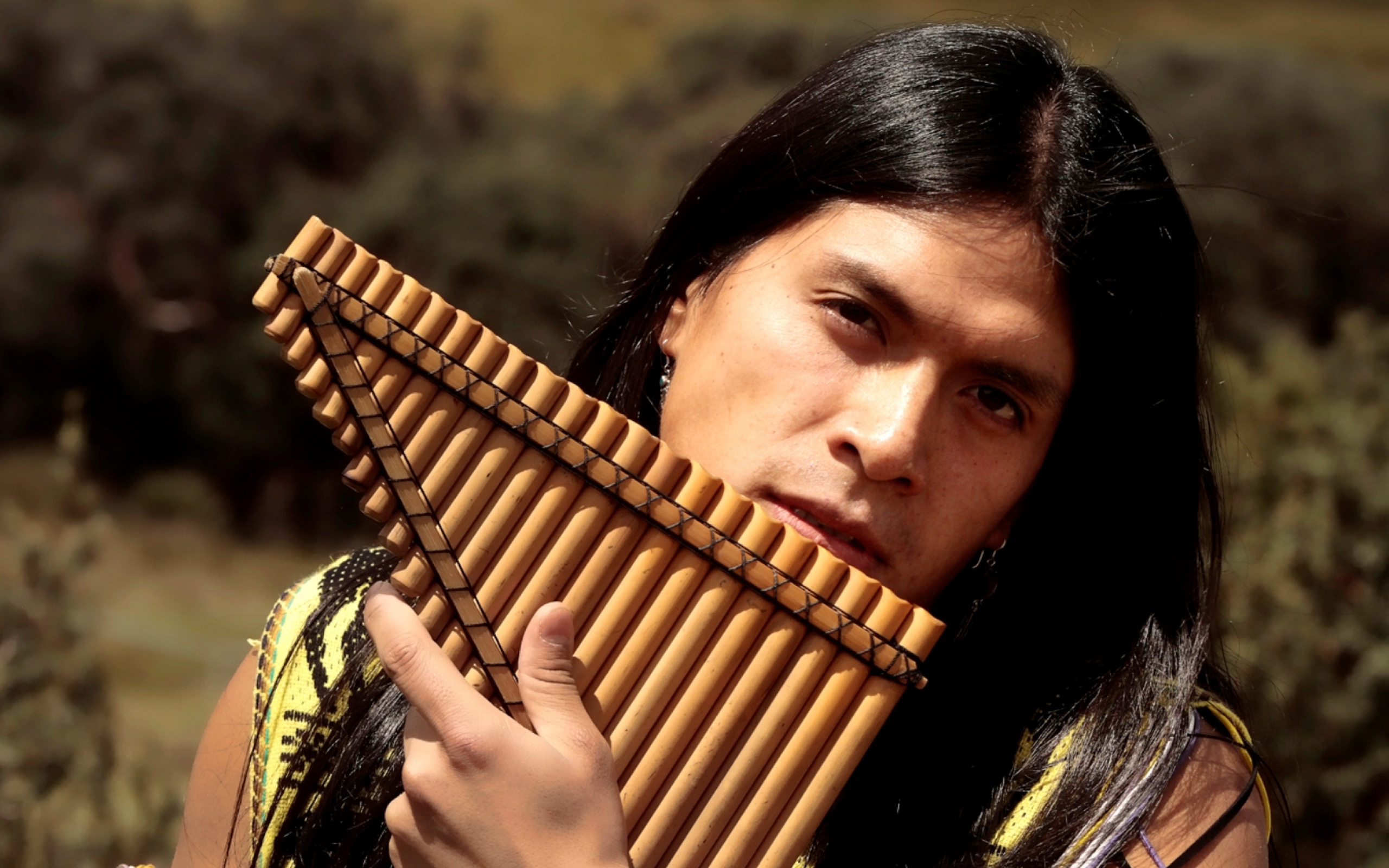 Слушать красивую музыку флейты. Лео Рохас. Leo Rojas дискография. Флейта индейцев. Панфлейта индейская.