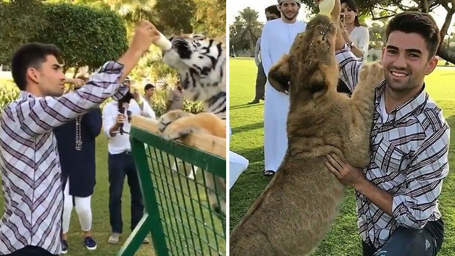 غذا دادن پسر زیدان به ببرها-رئال مادرید-لالیگا اسپانیا