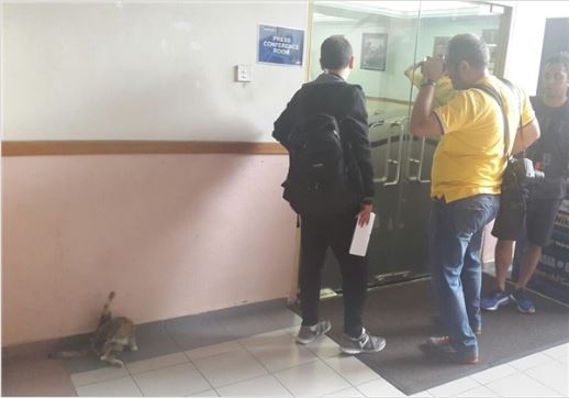حاشیه نشست خبری حکیم؛ عصبانیت سرمربی سوریه و حضور یک گربه پشت در کنفرانس!