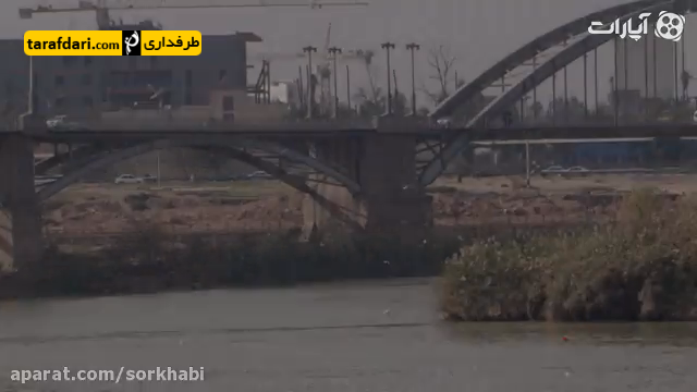 لیگ برتر ایران-جام خلیج فارس