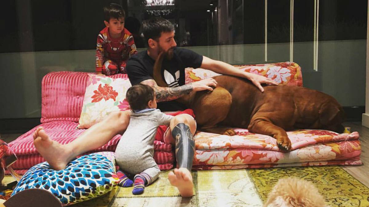 مهاجم آرژانتینی بارسلونا - فرزندان فوق ستاره آرژانتینی بارسلونا - سگ غول پیکر مسی