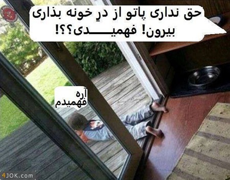 خخخخ