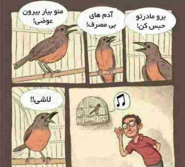 آدمهای بی مصرف!