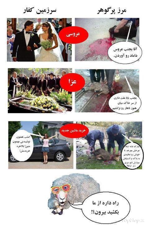 ترول فرهنگ ایرانیها و اروپاییها
