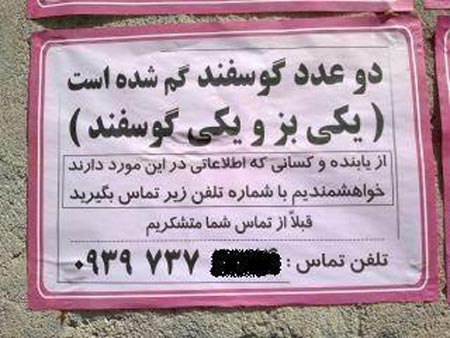 خخخخخخخخخخخخخخخخخخخخخ
