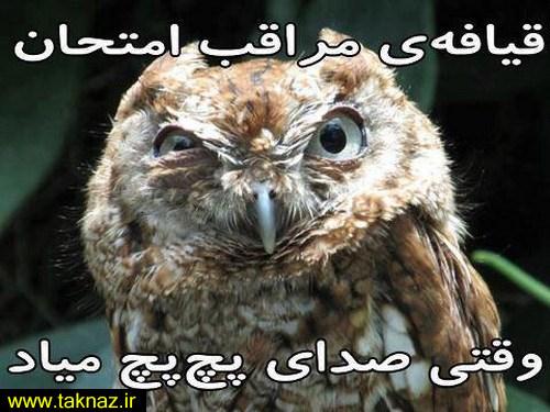 مراقب های امتحان
