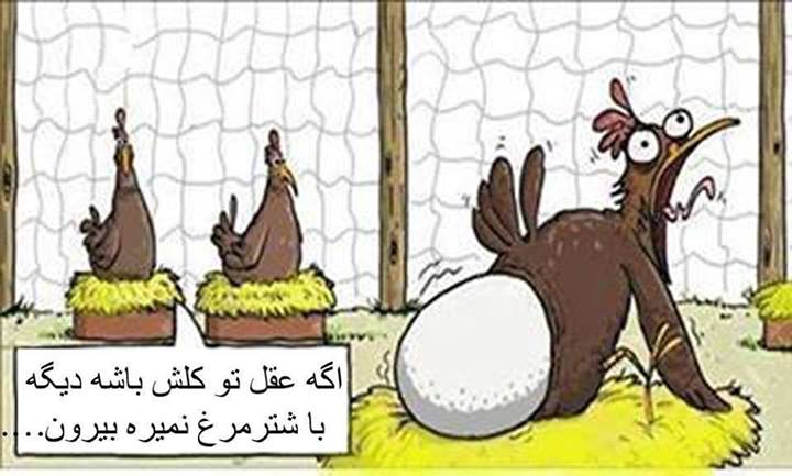 اگه عقل تو کلش باشه...
