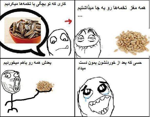 ترول تخمه :)