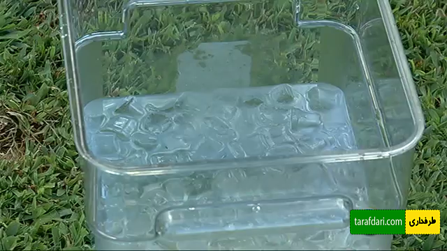 ویدیو؛ هاندانوویچ، الکسیس سانچز را به چالش سطل آب یخ فرا خواند
