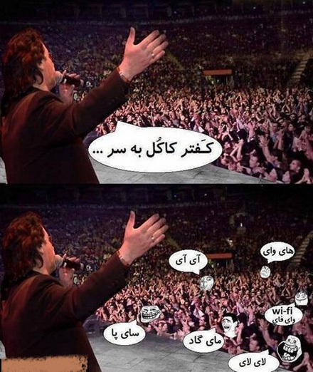 کفتر کاکل به سر . . . !