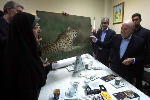 یوزپلنگ ایرانی، نماد فدراسیون فوتبال می شود
