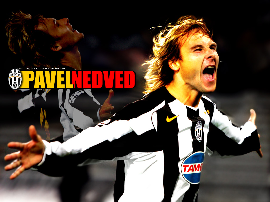 NEDVED