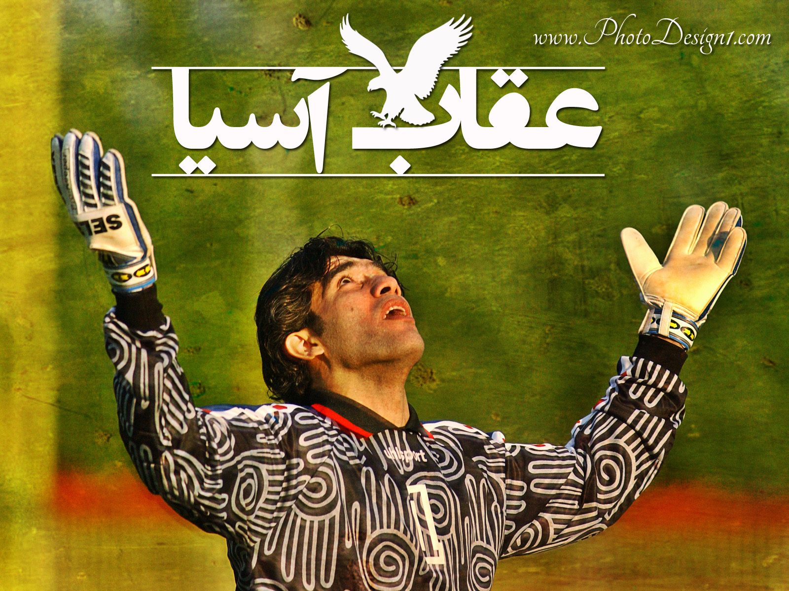 AhmadReza Abedzadeh Wallpaper