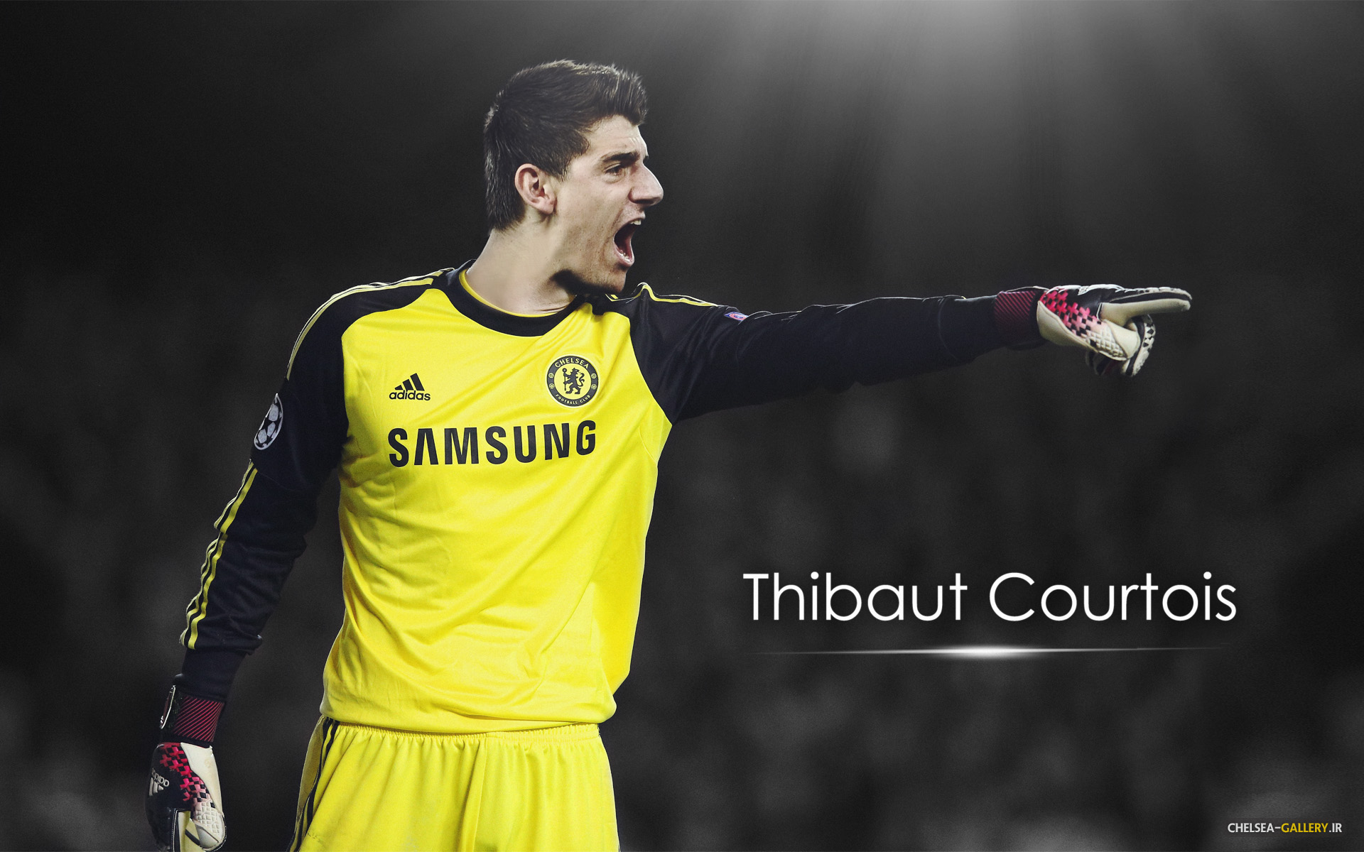 Thibuat Courtois Chelsea 2014-15 Wallpaper