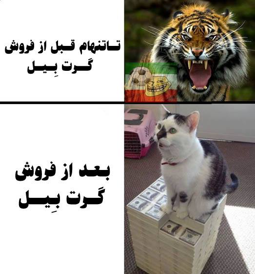 حال و روز این روزهای تاتنهام
