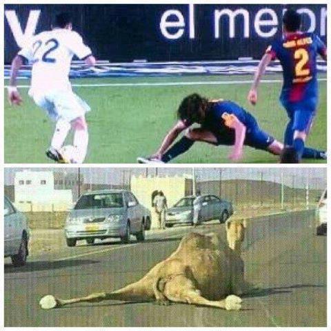 پویول خخخخخخ