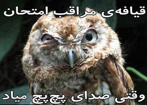 قیافه مراقب امتحان وقتی...